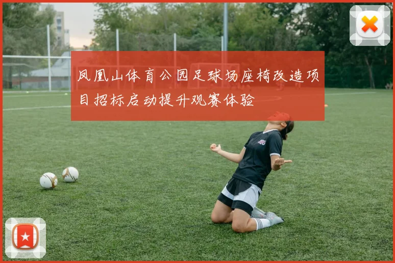 凤凰山体育公园足球场座椅改造项目招标启动提升观赛体验