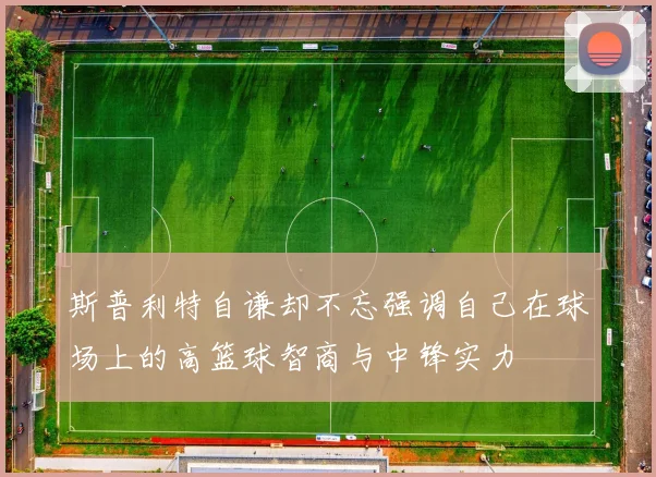 斯普利特自谦却不忘强调自己在球场上的高篮球智商与中锋实力
